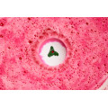 Sweet Pudding Bath Bomb